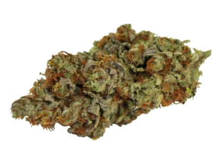 Tangerine Cookies | Big Buds | 3.5g