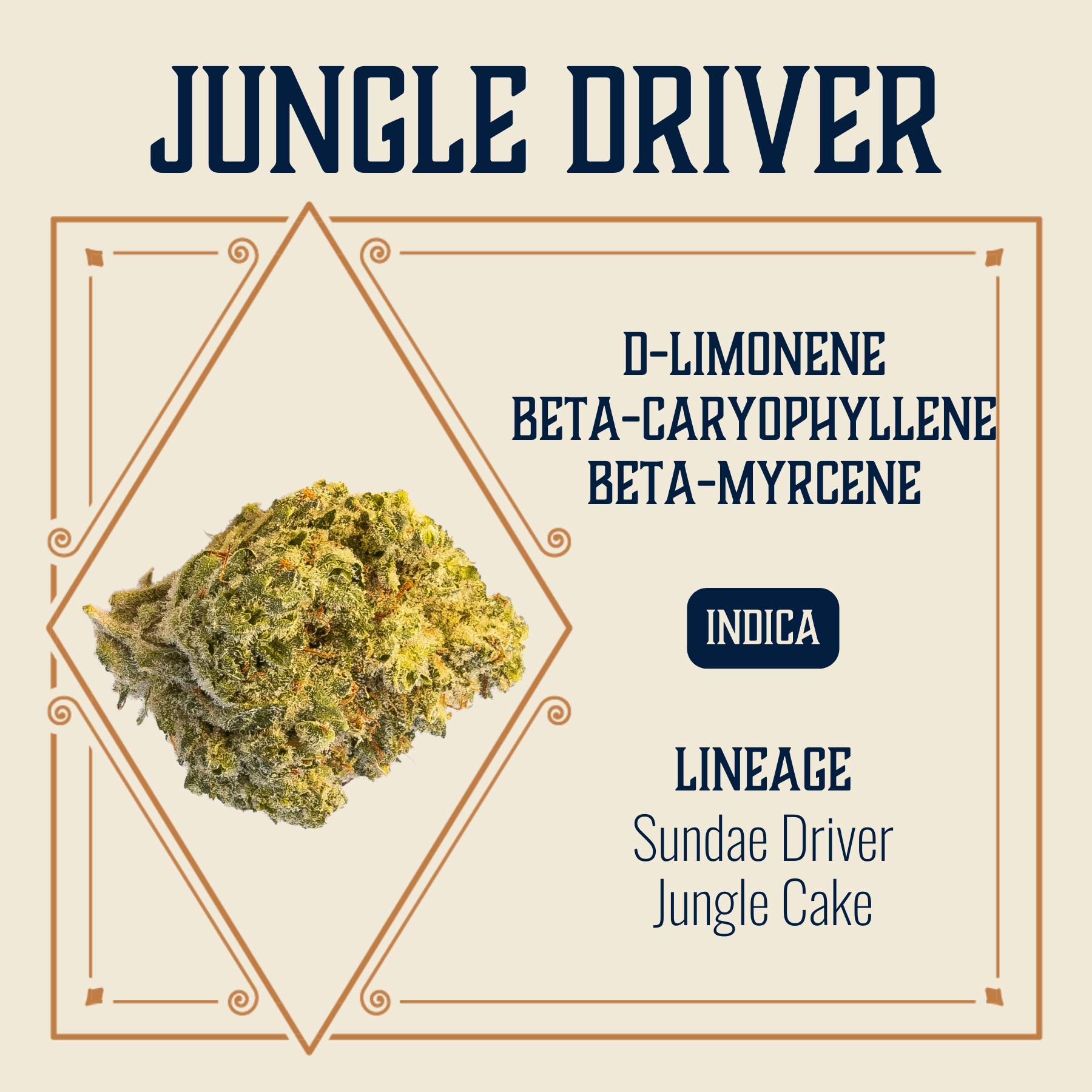 Jungle Driver | Big Buds | 3.5g by Elevate