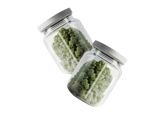 Galactic Warhdz | Big Buds | 1g