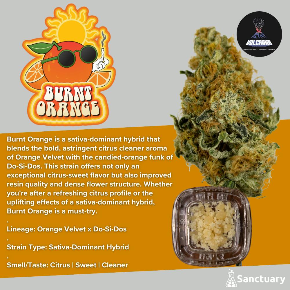 burnt orange | Solvent | Crumble | 1g