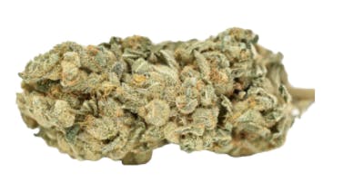 Double Dutch | Big Buds | 3.5g