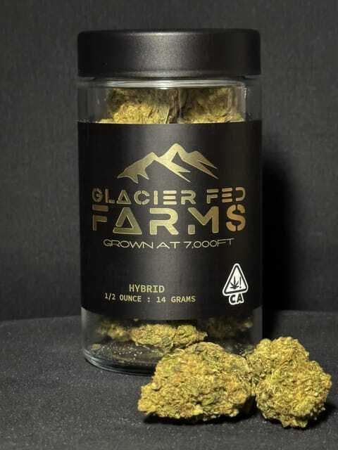 pinnacle | Big Buds | 14g