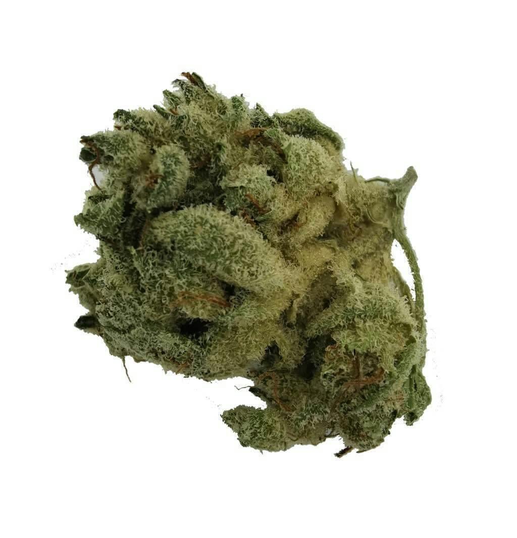 Cheddar Bomb | Big Buds | 3.5g