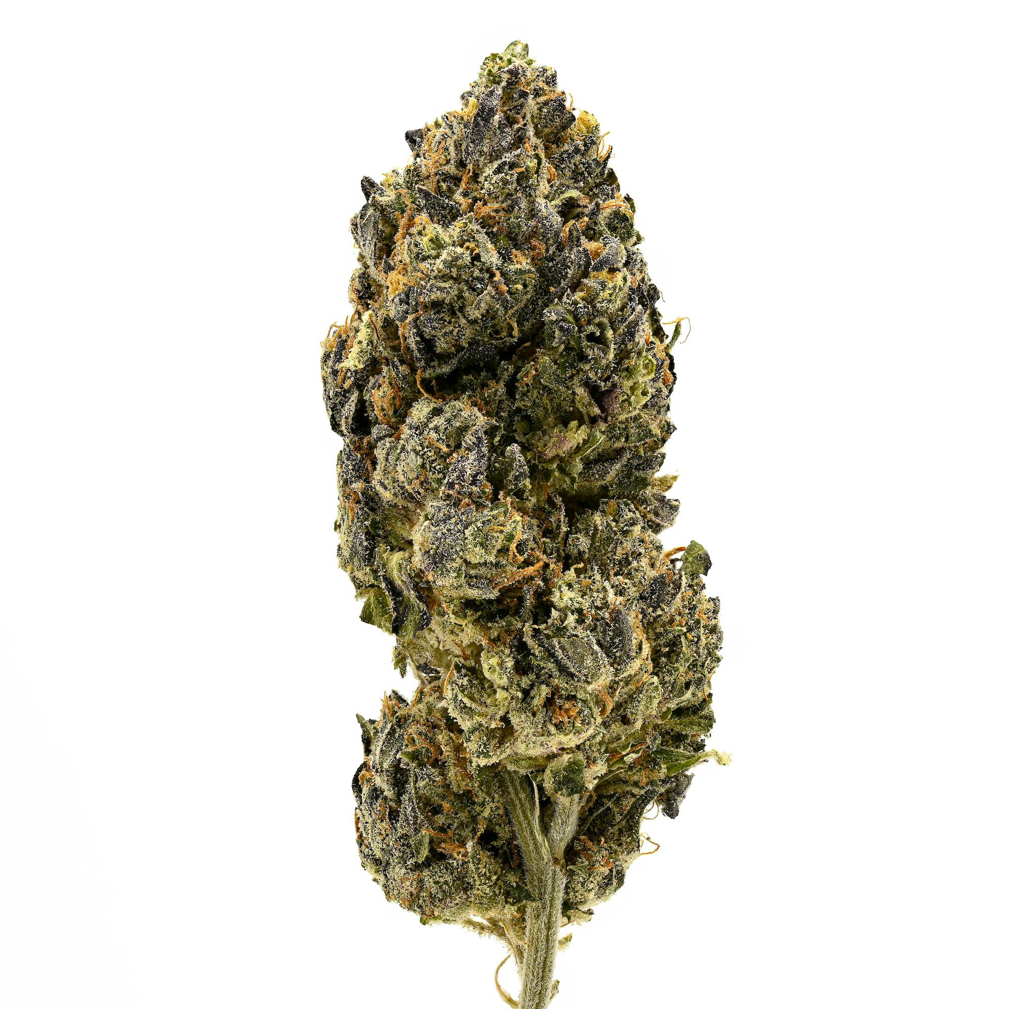 Red Runtz | Big Buds | 28g by Ironlung (Recreational)