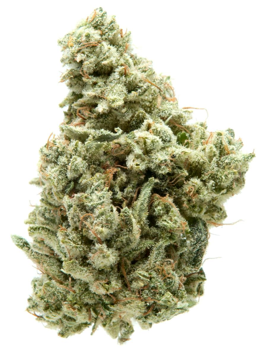 Glue Trap | Big Buds | 3.5g