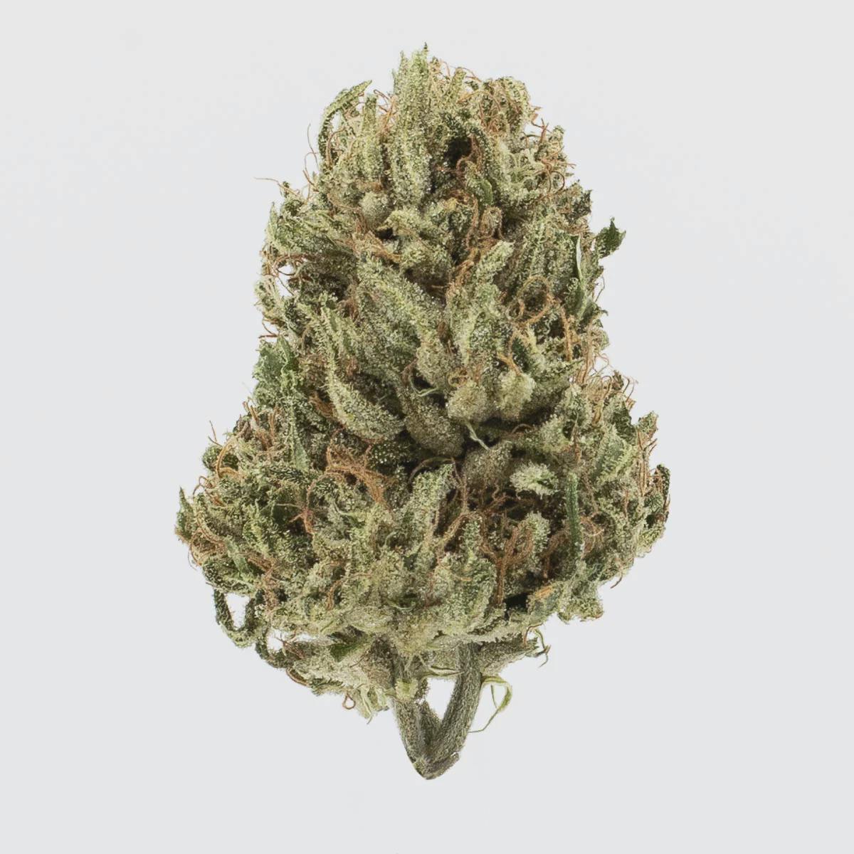 Clementine Kush | Ground | 14g