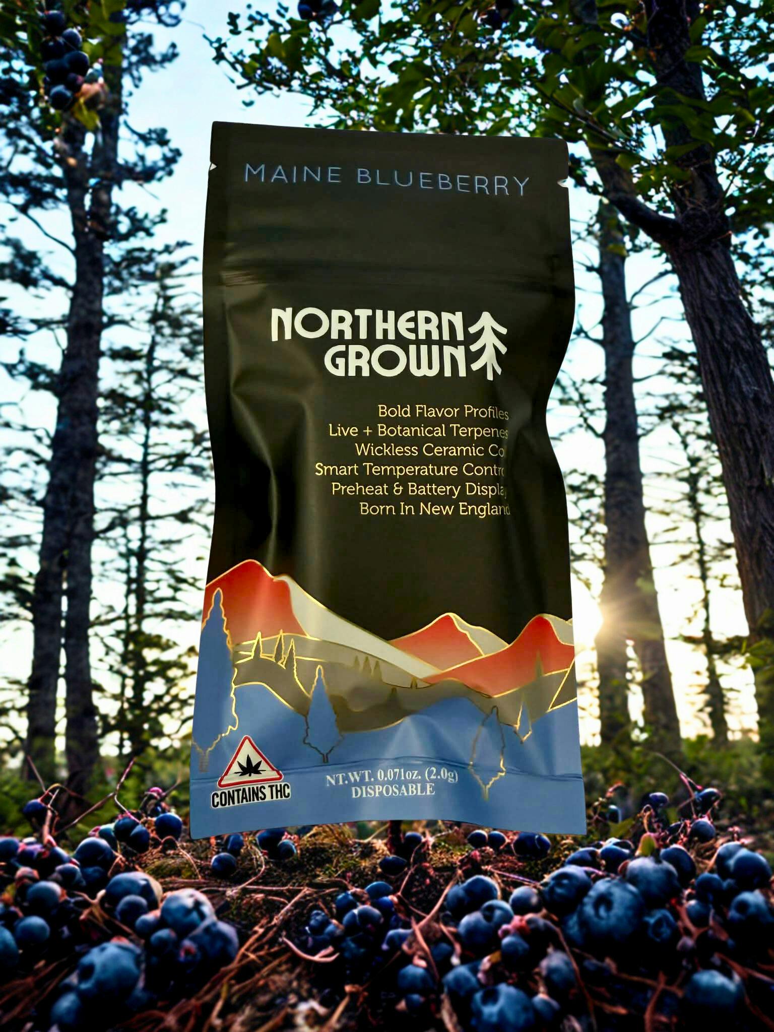blue dream | Disposable | 2g by Northern Grown