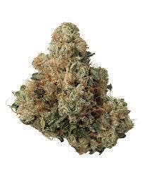 Skywalker Kush | Big Buds | 3.5g by Aura