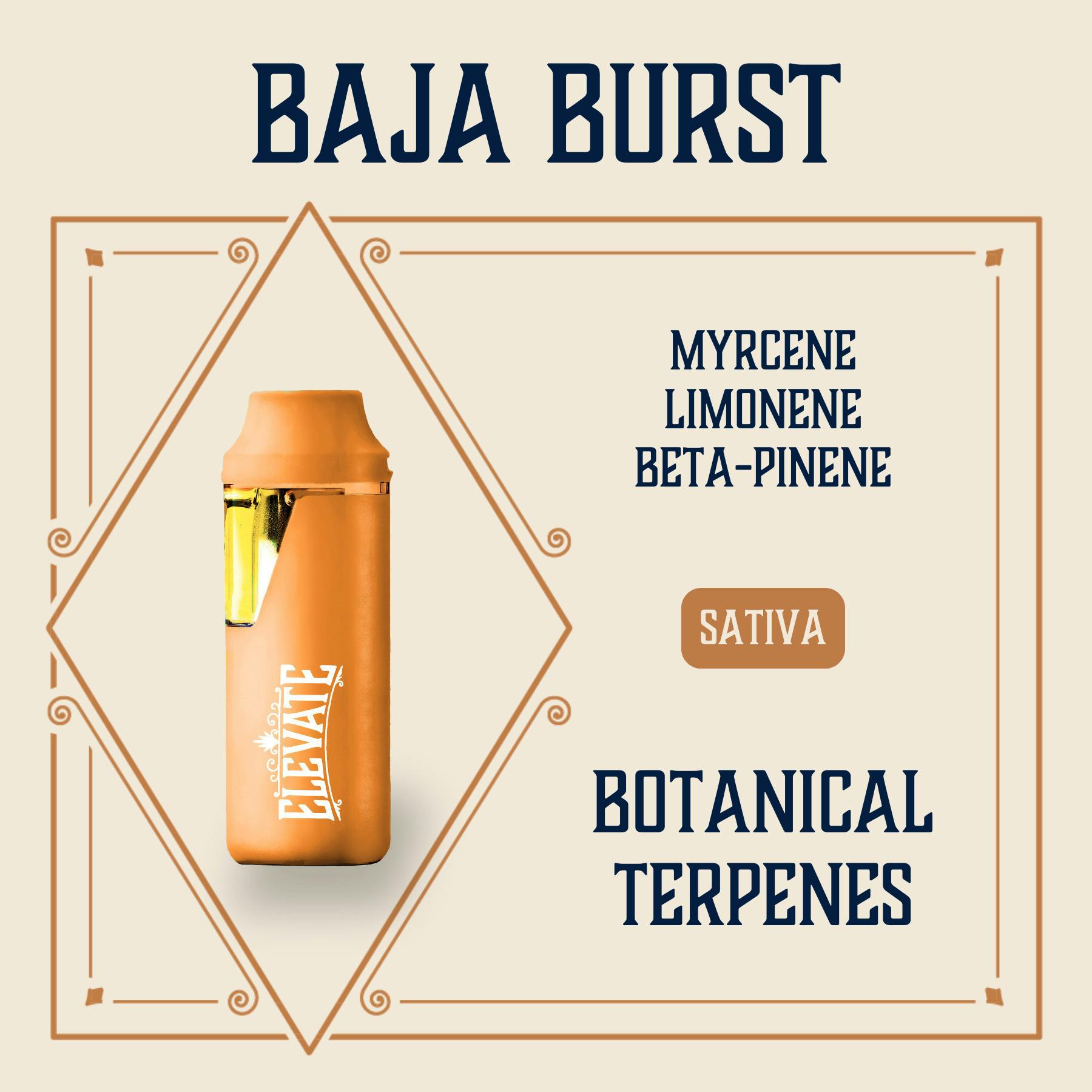 Baja Burst | Disposable | 1g by Elevate