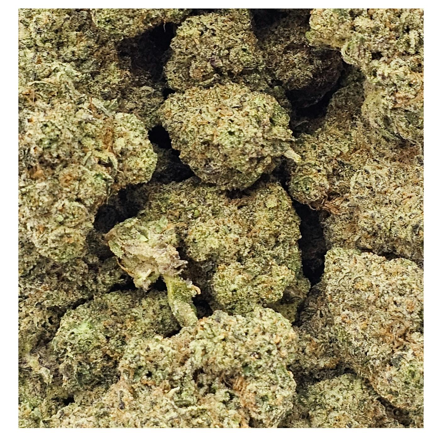 White Truffle | Big Buds | 1g