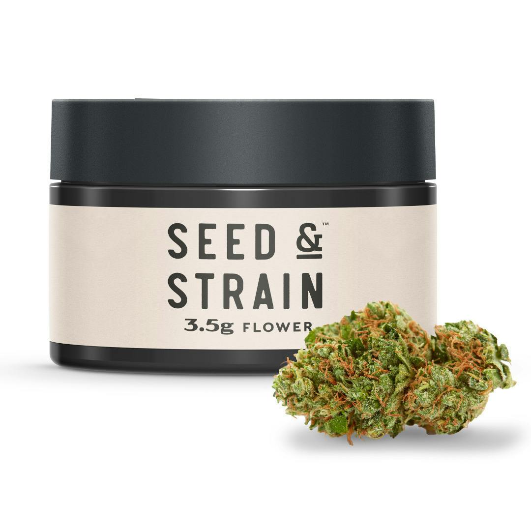 sherbanger | Big Buds | 3.5g by Seed & Strain