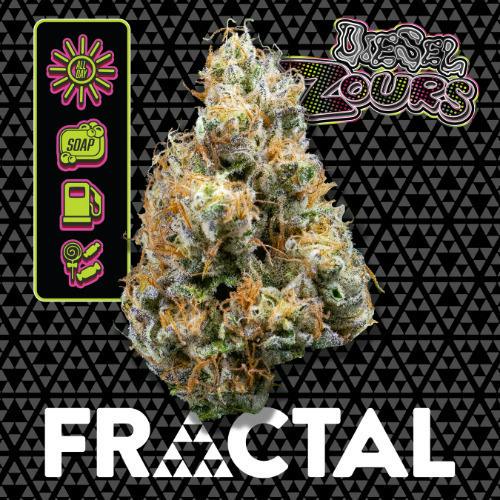 Diesel Zours | Big Buds | 1g