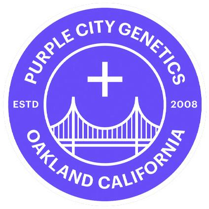 TOWN HEIGHTS - 6 FEMINIZED SEEDS | Seeds at Elevation 2477' Cannabis Dispensary