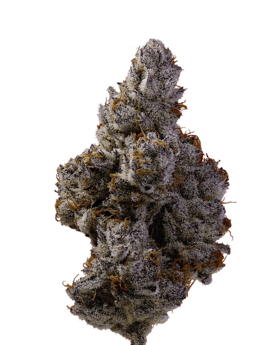 White Devil | Big Buds | 3.5g