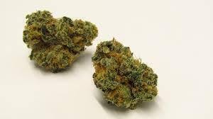 Black Maple | Big Buds | 3.5g