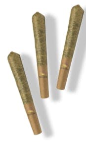 Jack Herer | Joints | 1g | 2pk