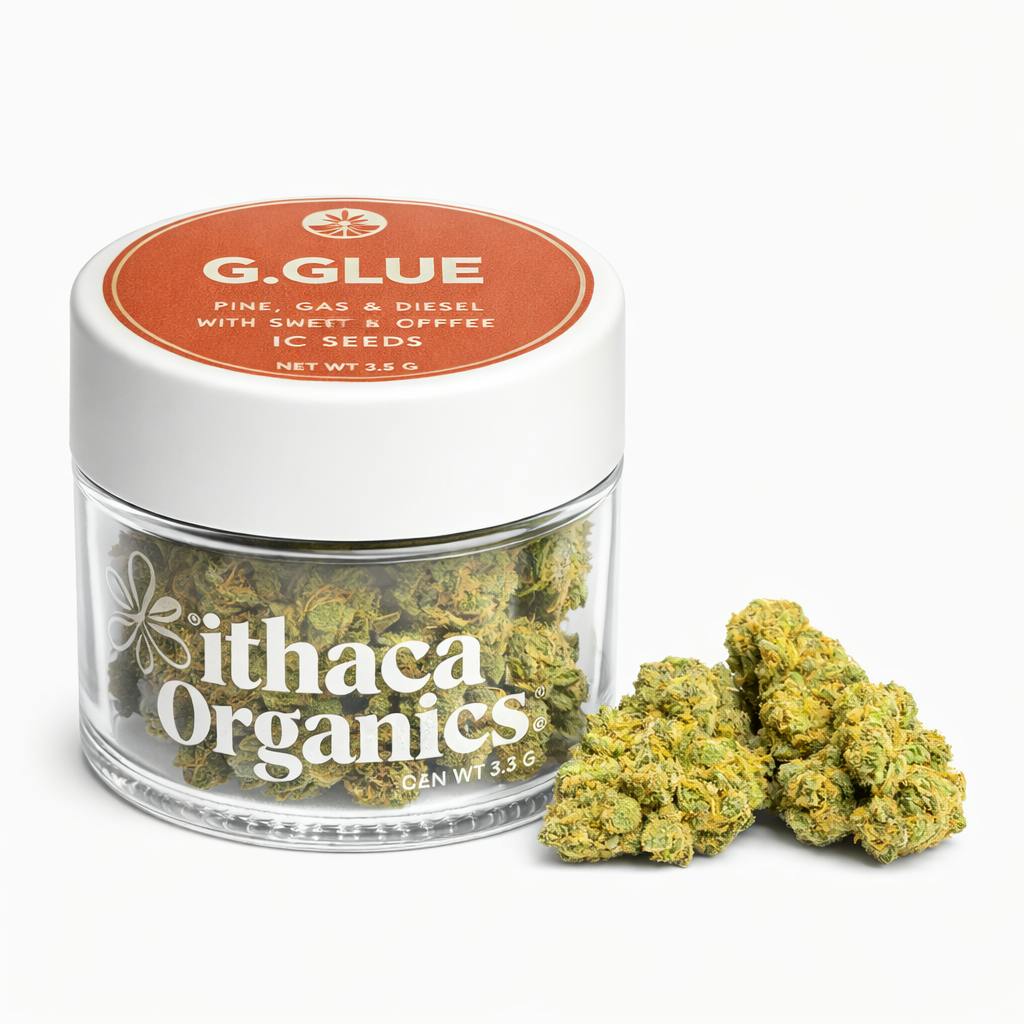 Gorilla Glue | Big Buds | 3.5g