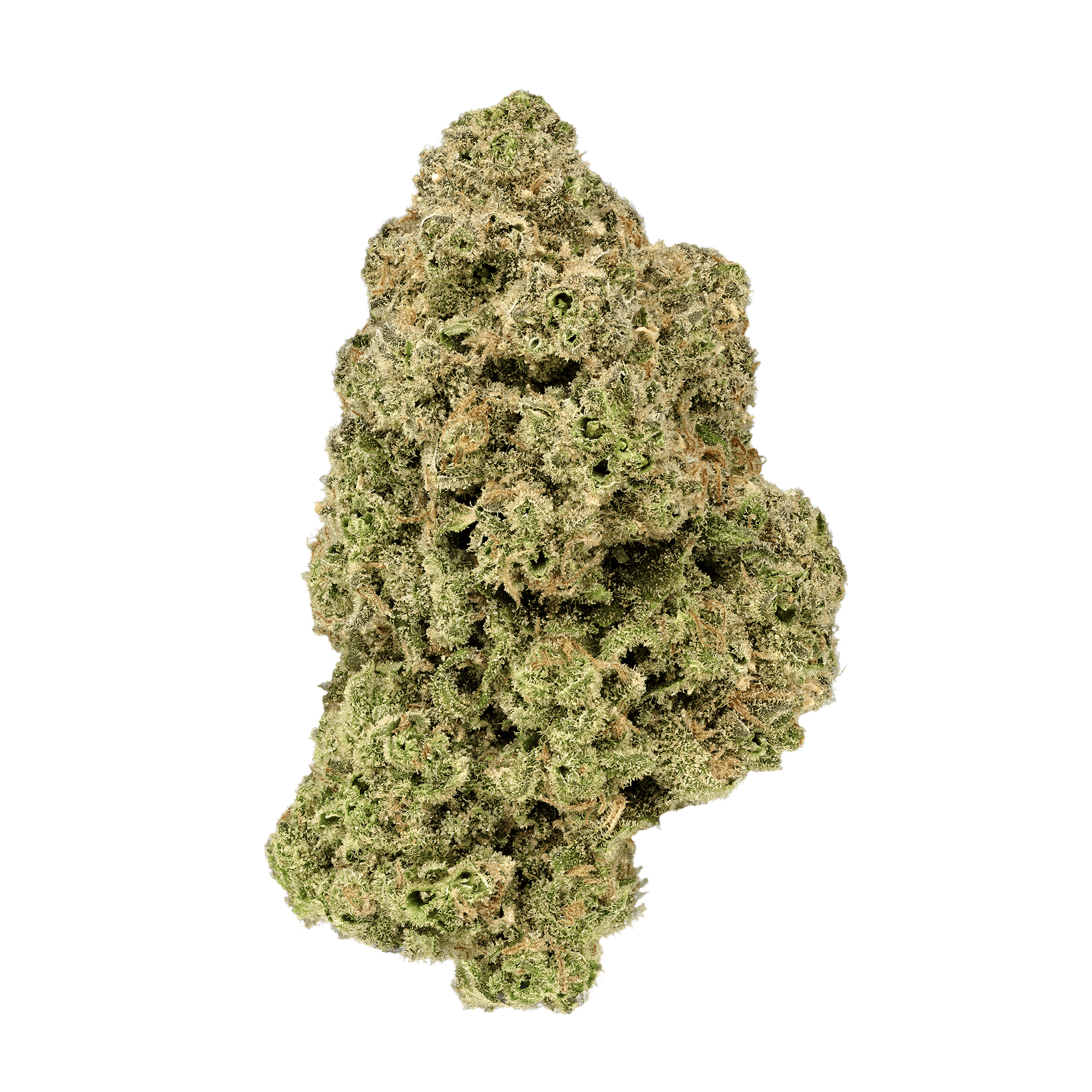 Jack Herer Ground