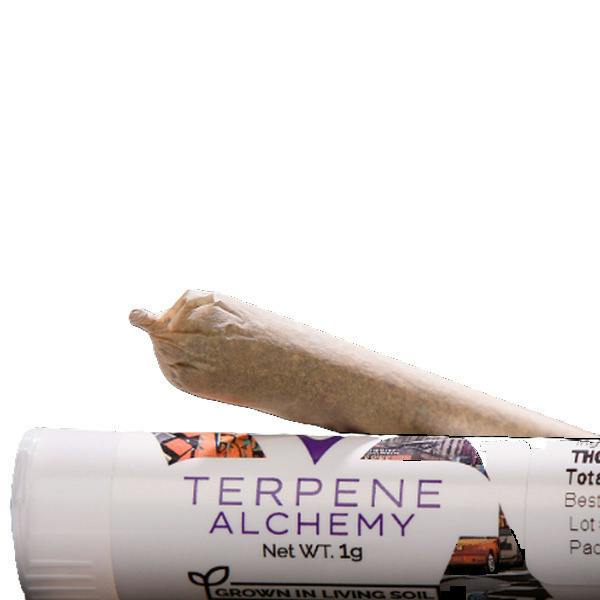 Tropicana Cherry | Joints | 1g at Yeti Greenery