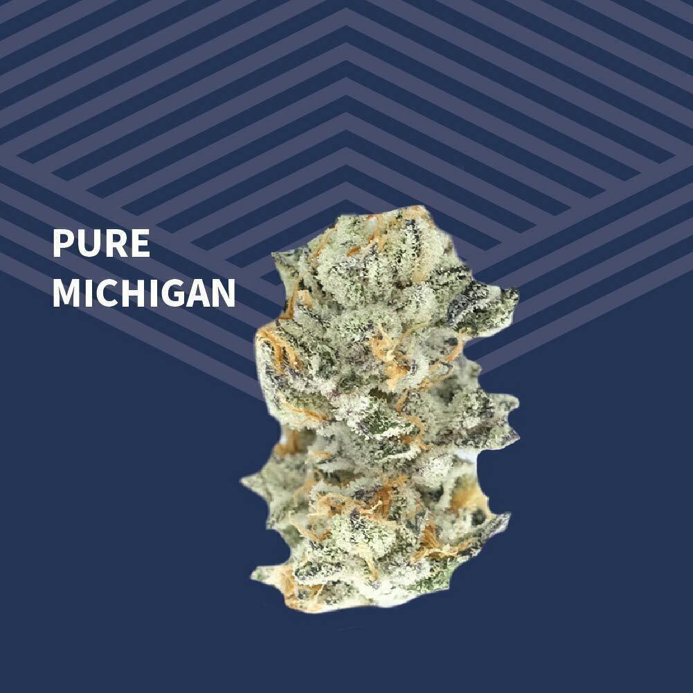 Pure Michigan | Big Buds | 1g at Pure Dakota Health Williston Dispensary