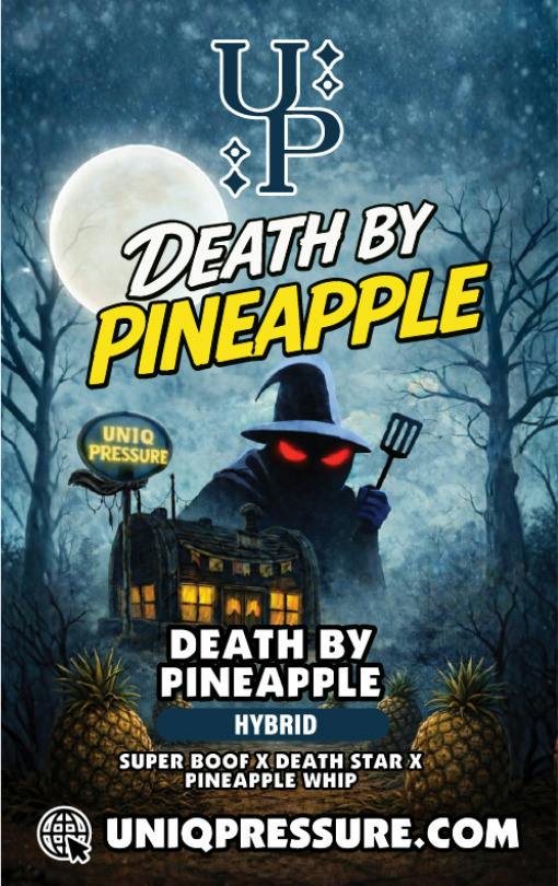 death by pineapple | Solventless | Rosin | 1g by Uniq Pressure