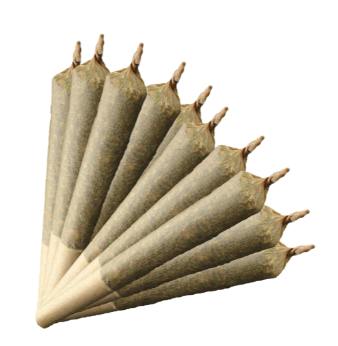 Sativa 20% Plus | Minis | 0.35g | 10pk