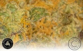 Northern Lights | Big Buds | 1g