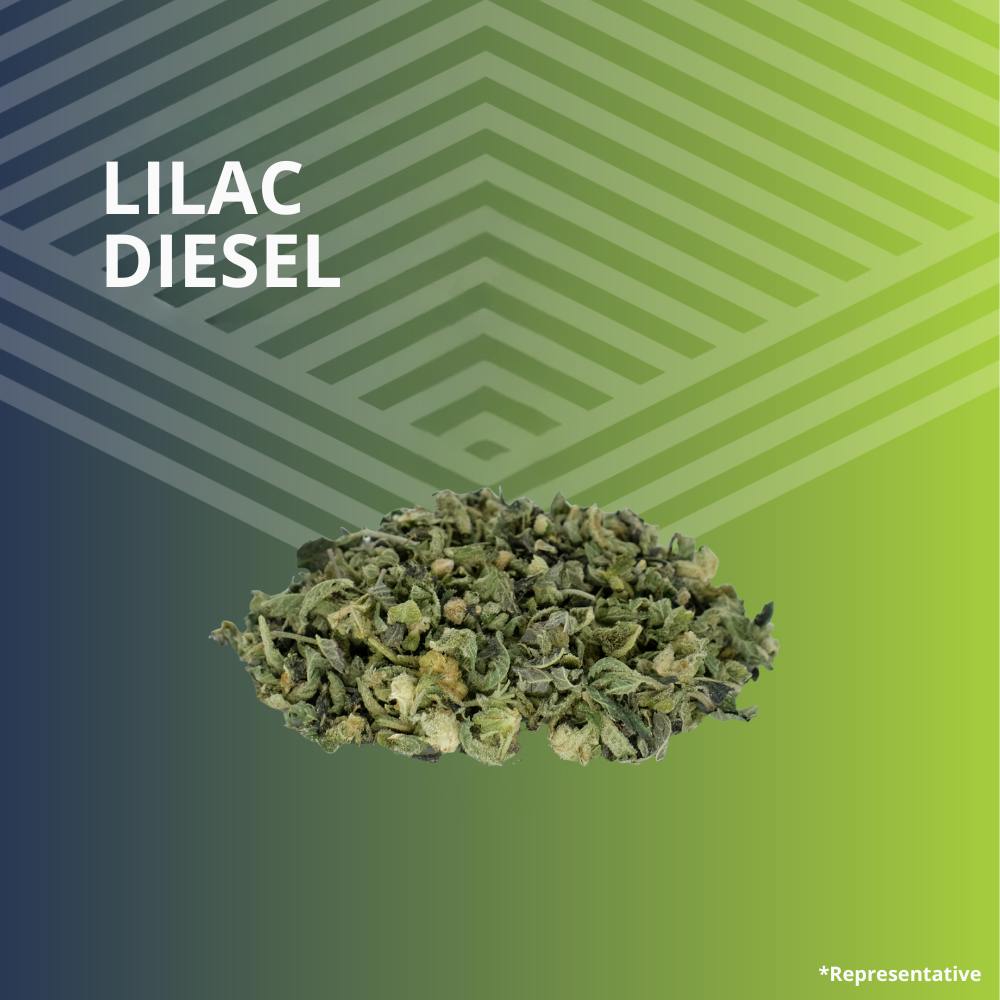 Lilac Diesel | Ground | 14g at Pure Dakota Health of Fargo