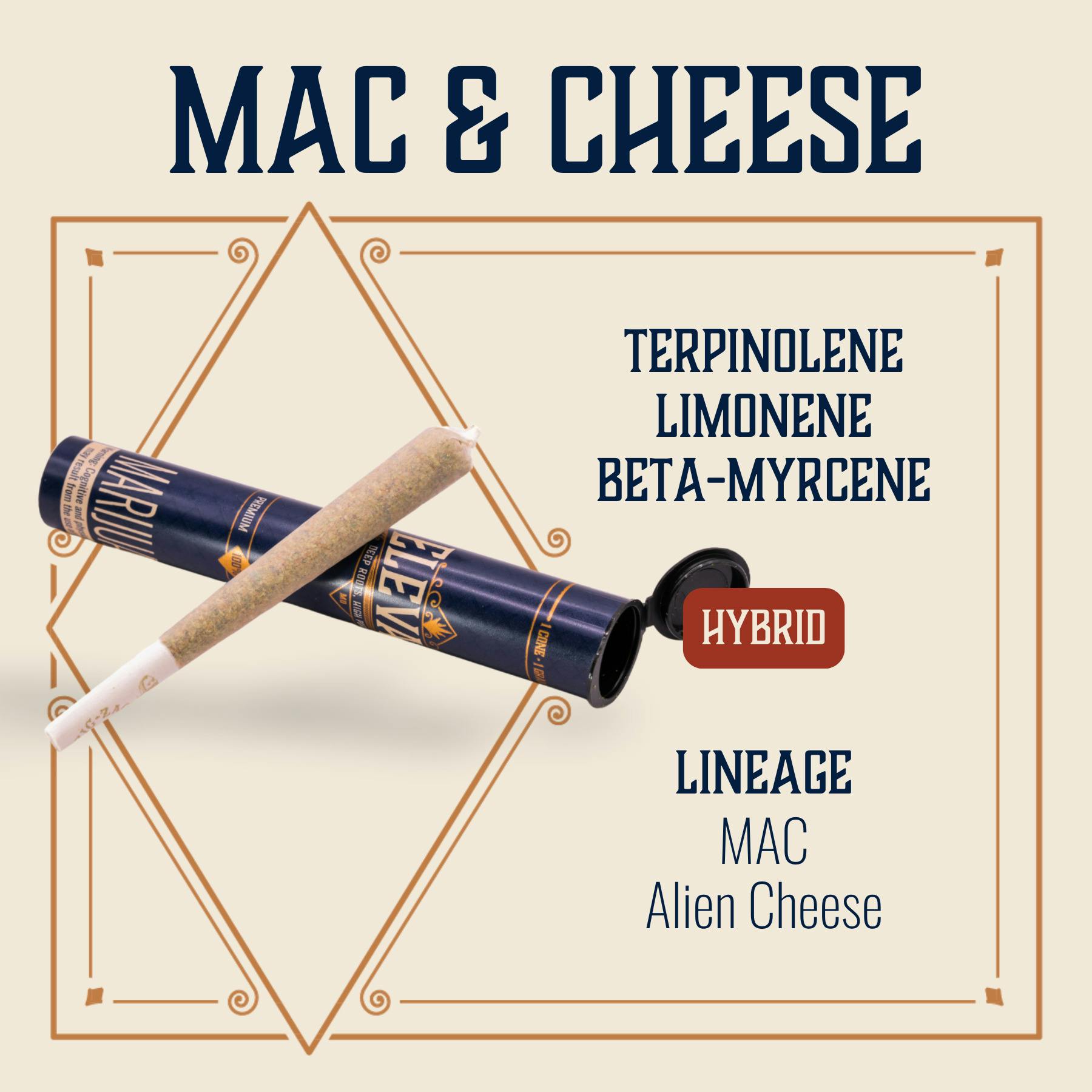 Mac & Cheese | Joints | 1g