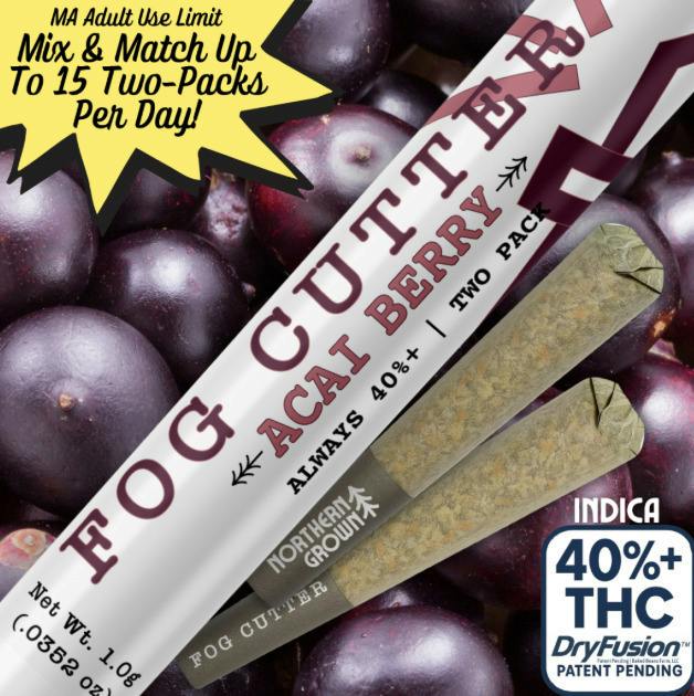 Acai Berry Gelato | Infused Minis | 0.5g | 2pk