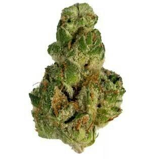 GMO Cookies | Buds | 7g