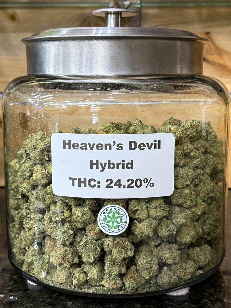 Heaven's Devil | Big Buds | 1g