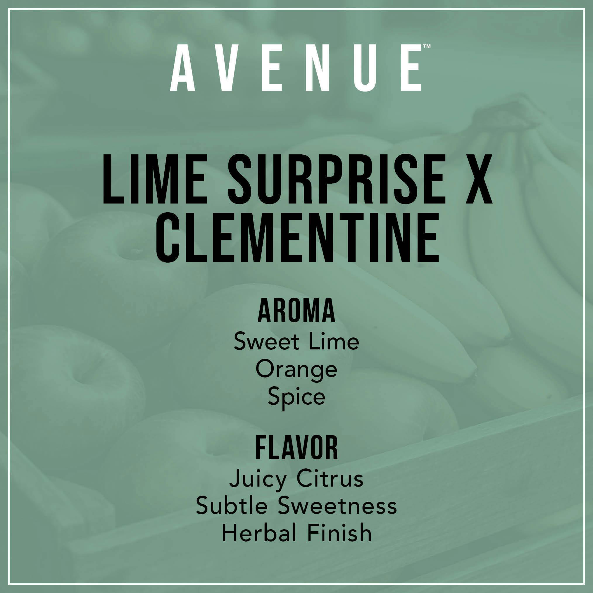 Lime Surprise x Clementine | Big Buds | 4.5g