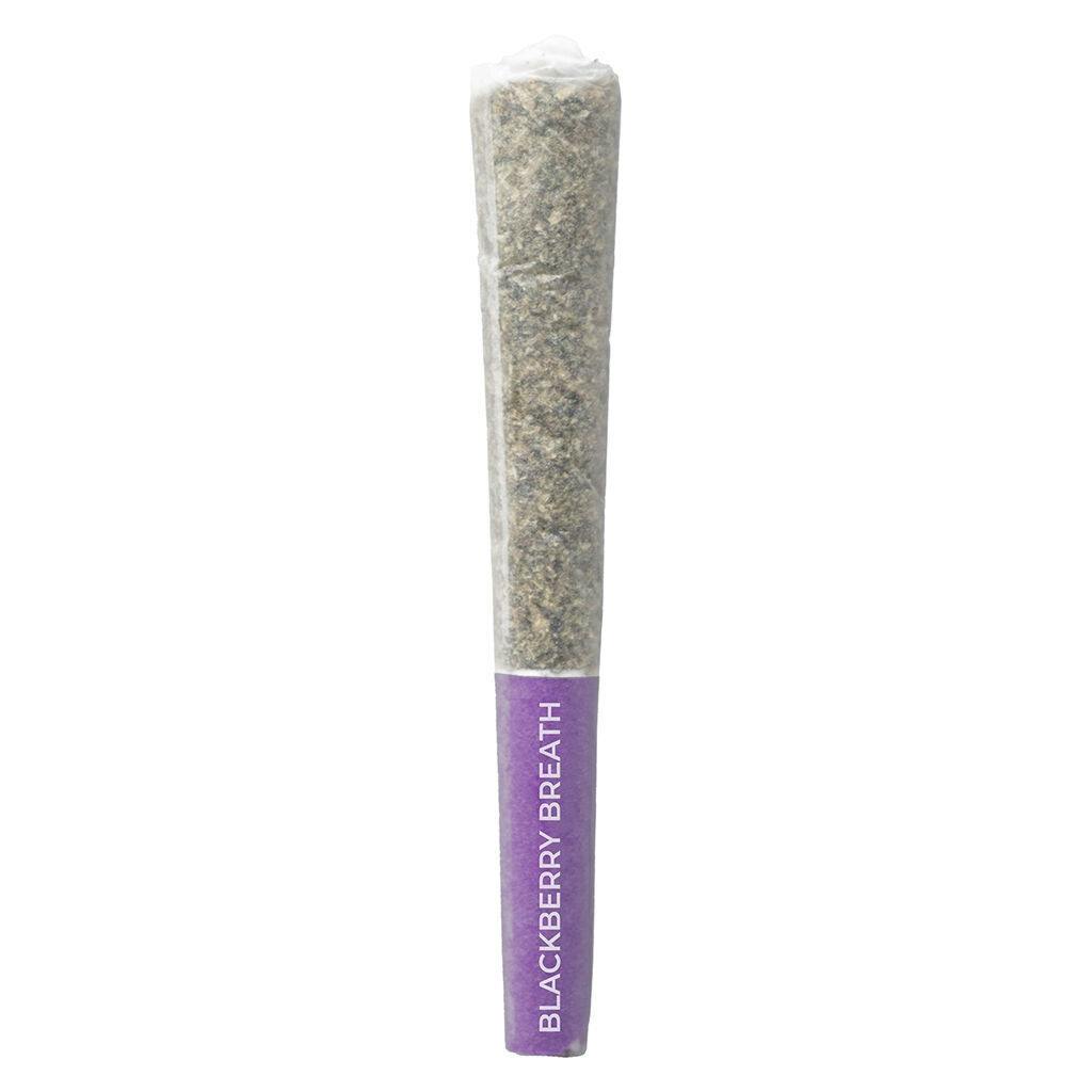 Blackberry Breath | Minis | 0.5g | 3pk