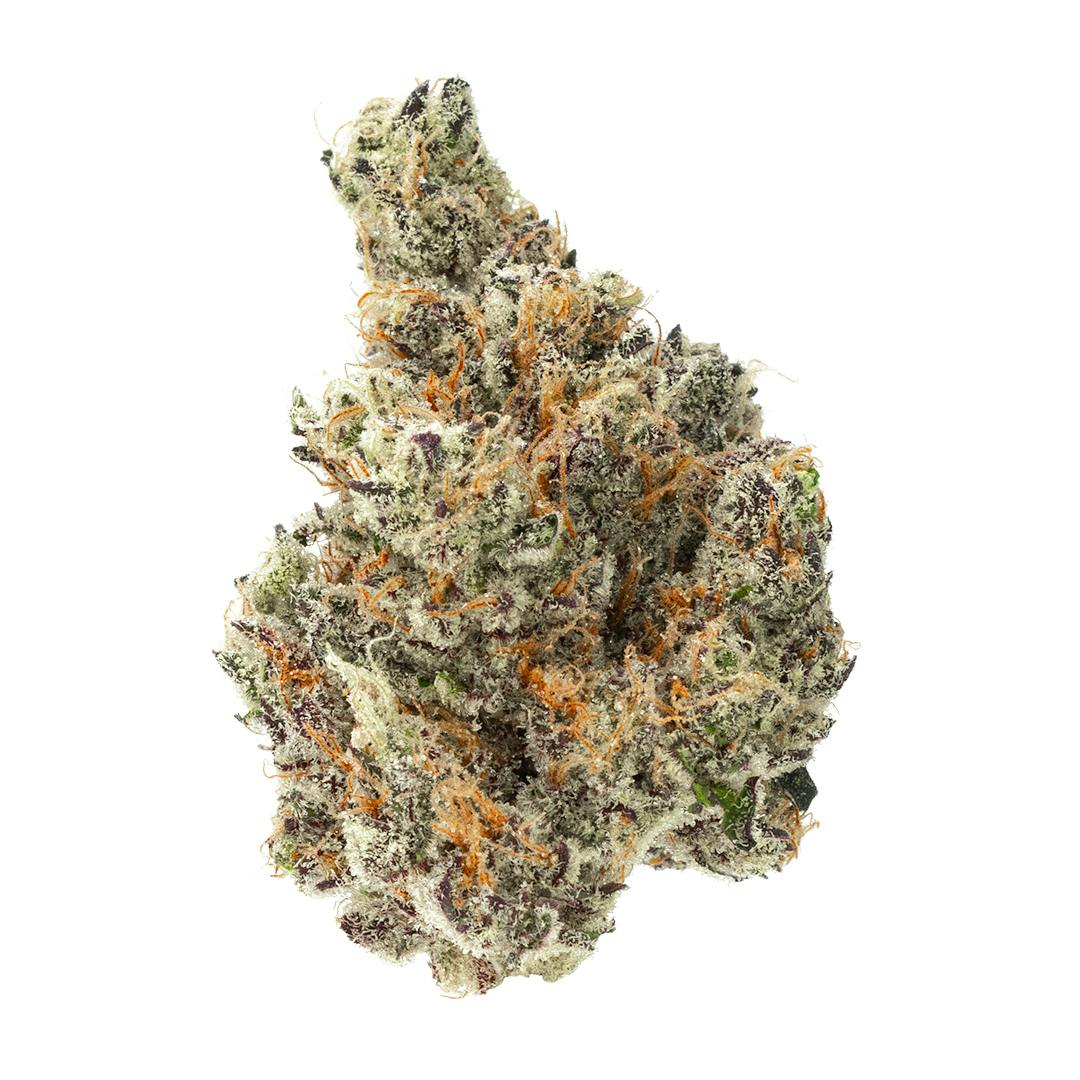 GovernMint Oasis | Big Buds | 14g