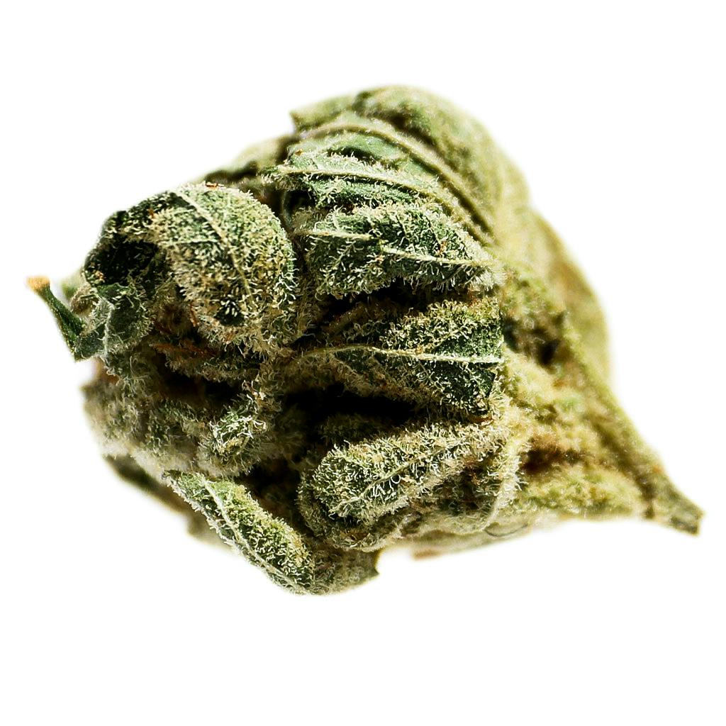 Pineapple Express | Big Buds | 7g