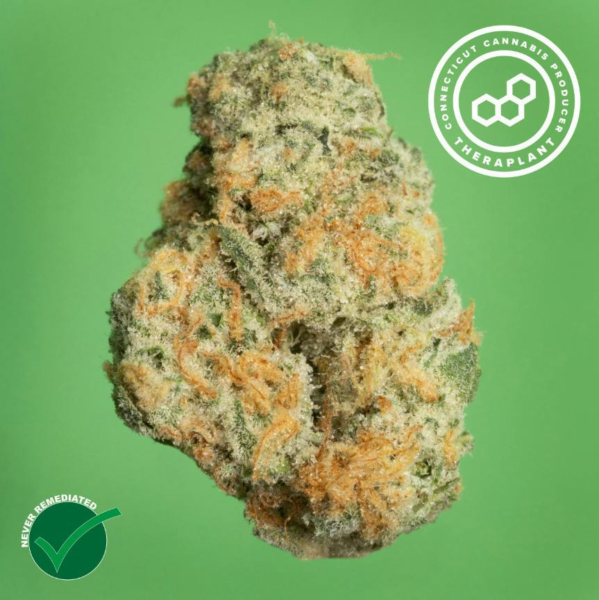 Black Cherry GMO | Big Buds | 3.5g by Theraplant