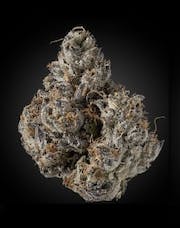 Swamp Water | Big Buds | 3.5g