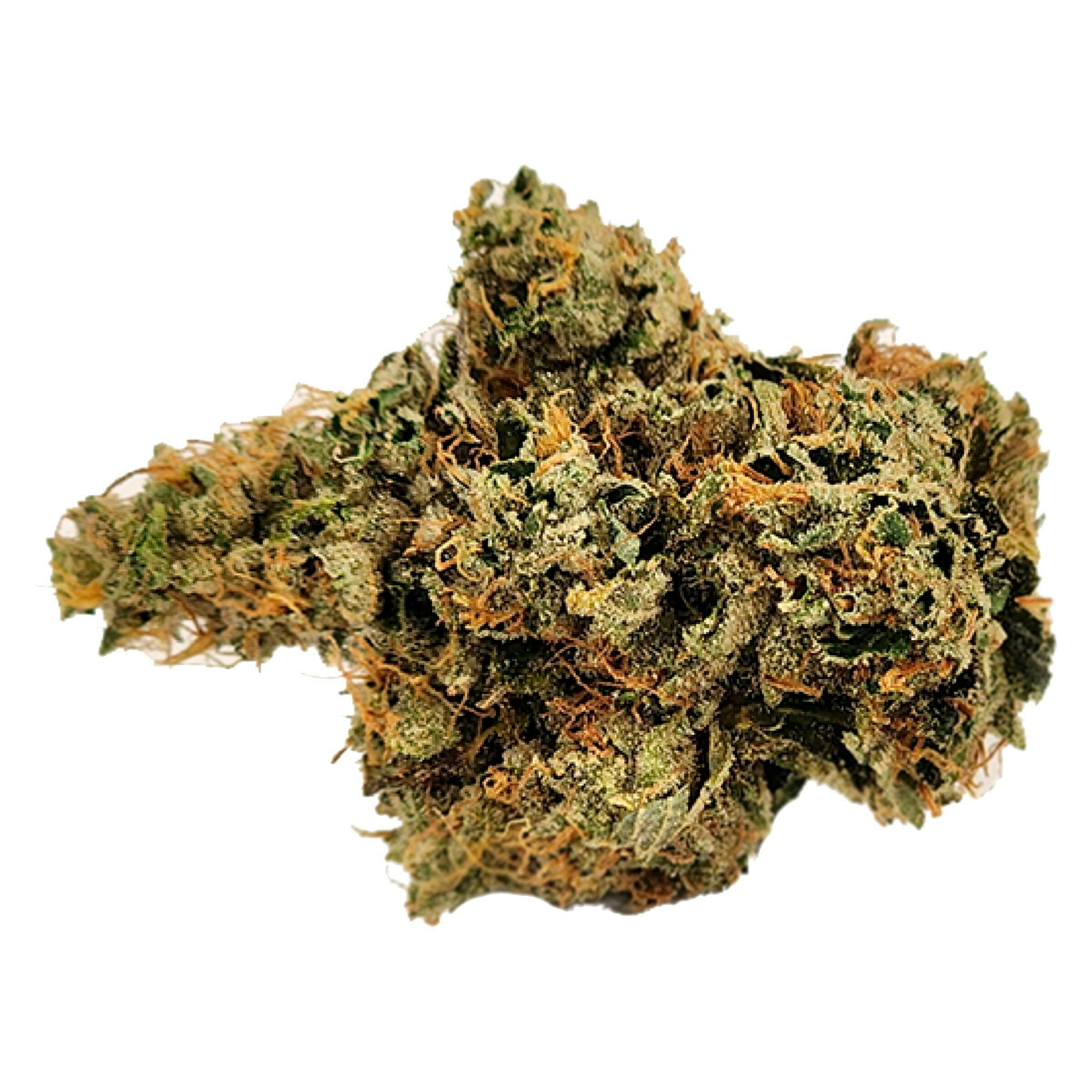 Tres Dawg x I-95 | Big Buds | 3.5g