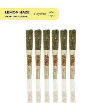 lemon haze | Infused Minis | 0.5g | 6pk