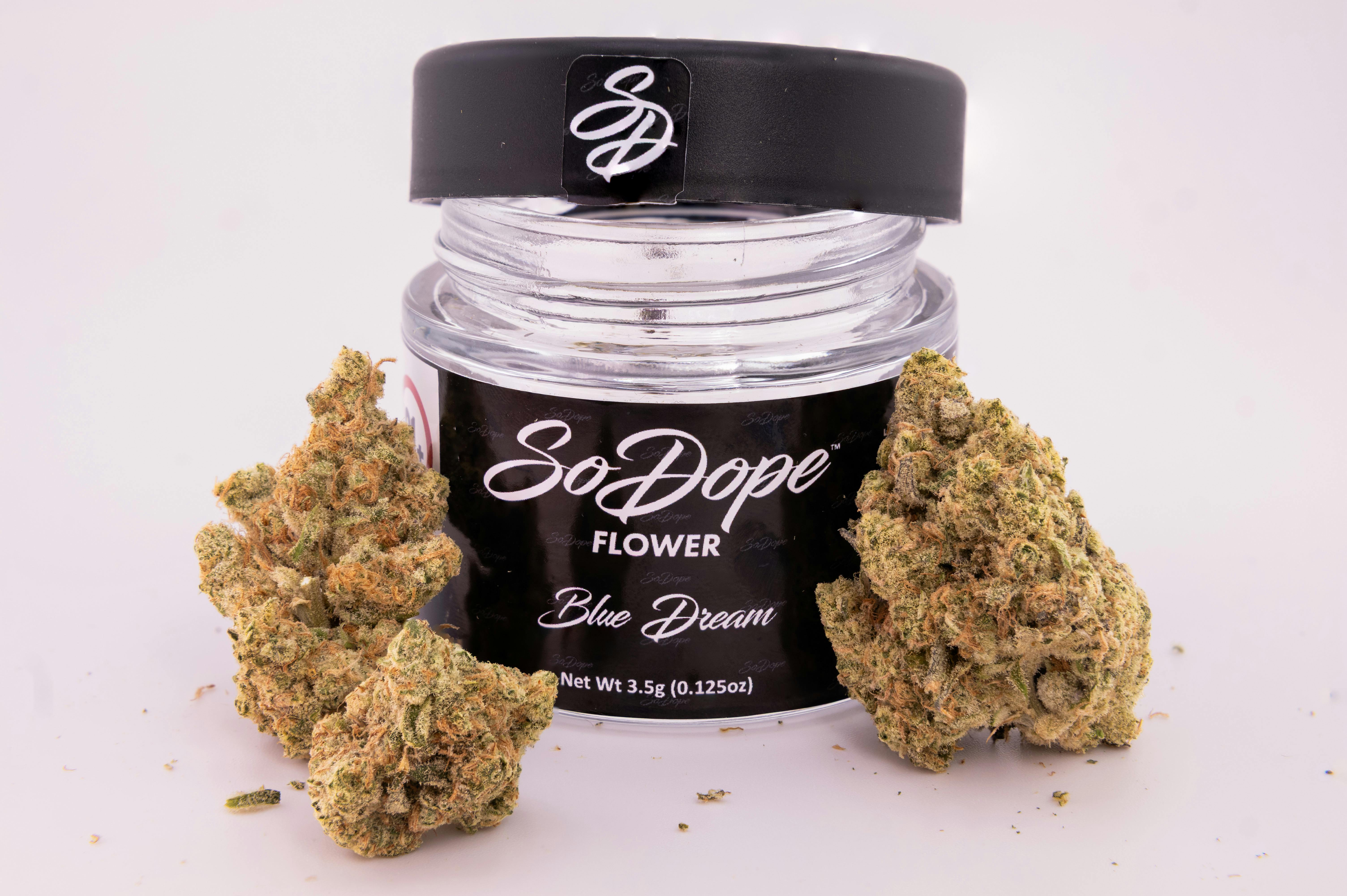 Blue Dream | Big Buds | 3.5g