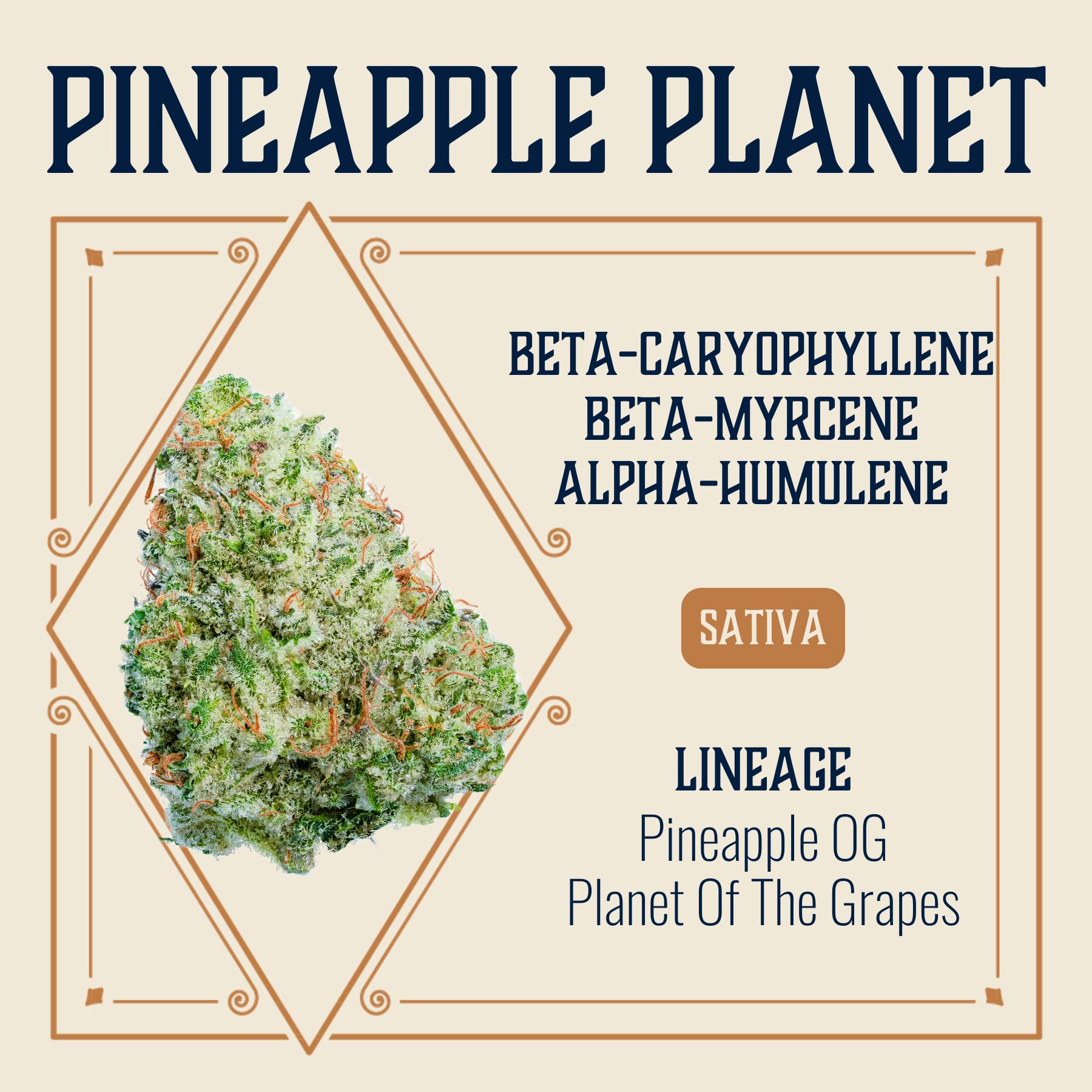 Pineapple Planet | Big Buds | 3.5g by Elevate