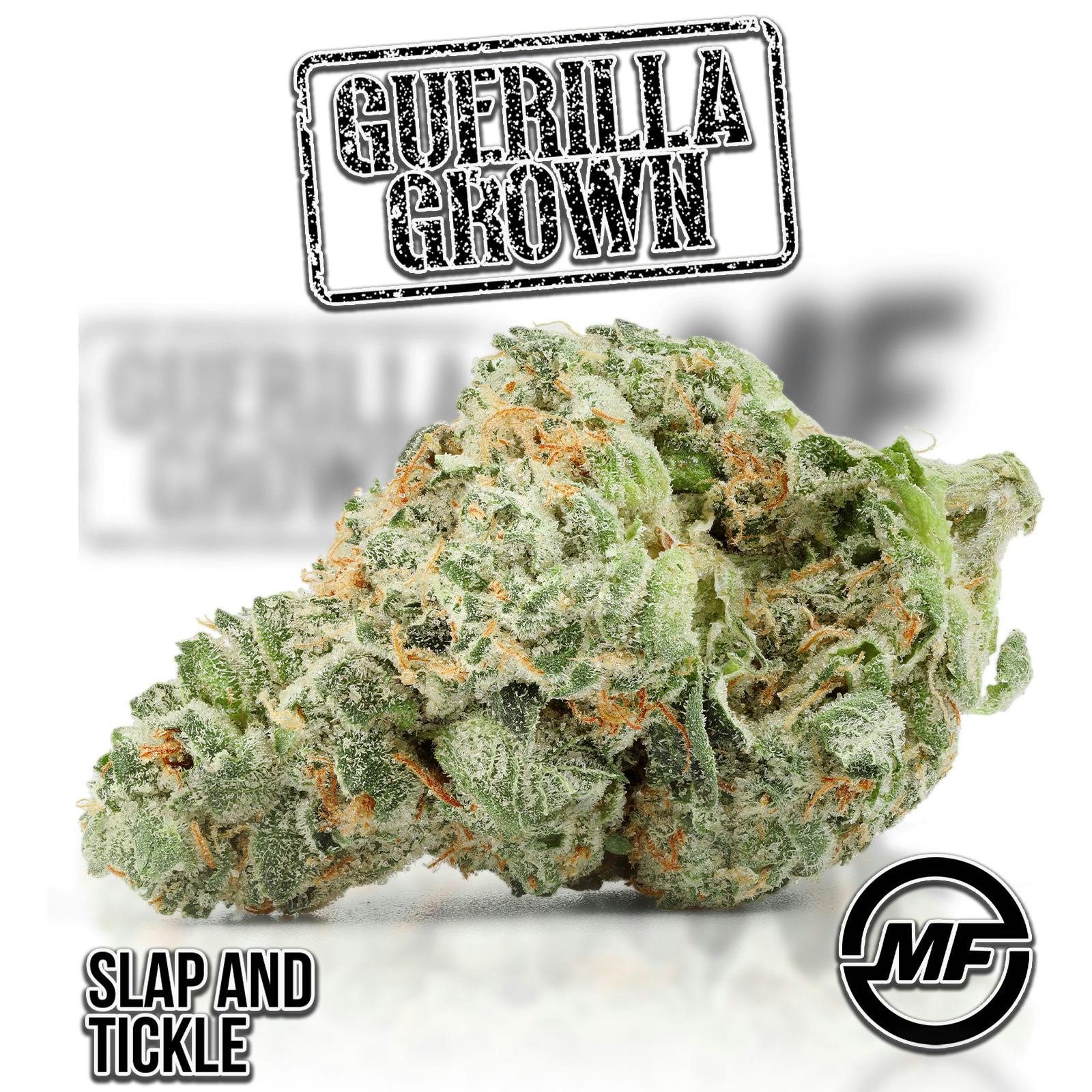 Slap And Tickle | Big Buds | 28g by Guerilla Grown