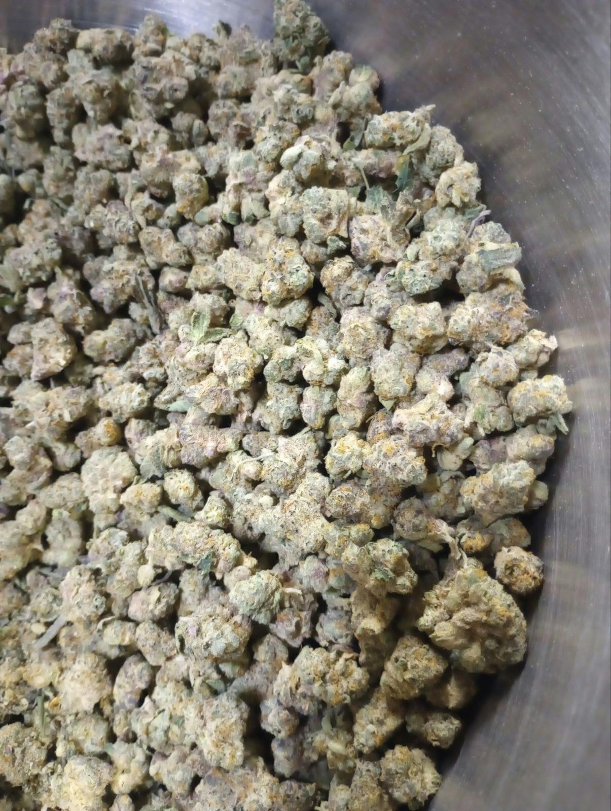Honolulu Blue | Big Buds | 1g