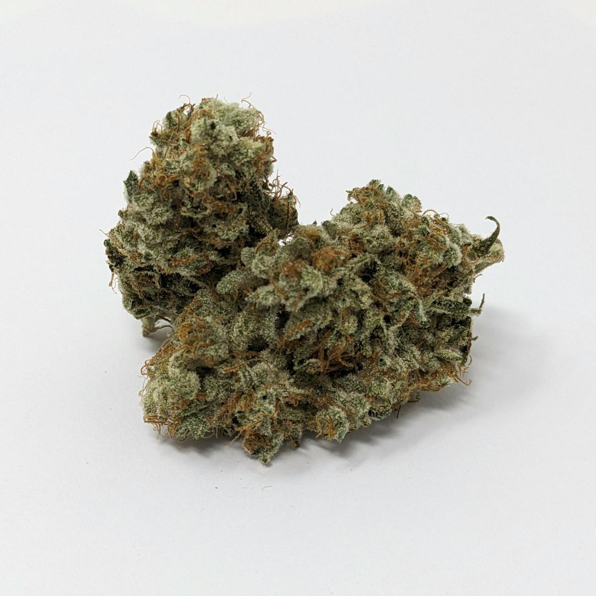 Sundog | Buds | 1g
