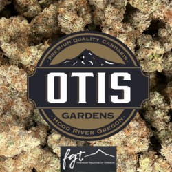 Otis Gardens: Candied Oranges