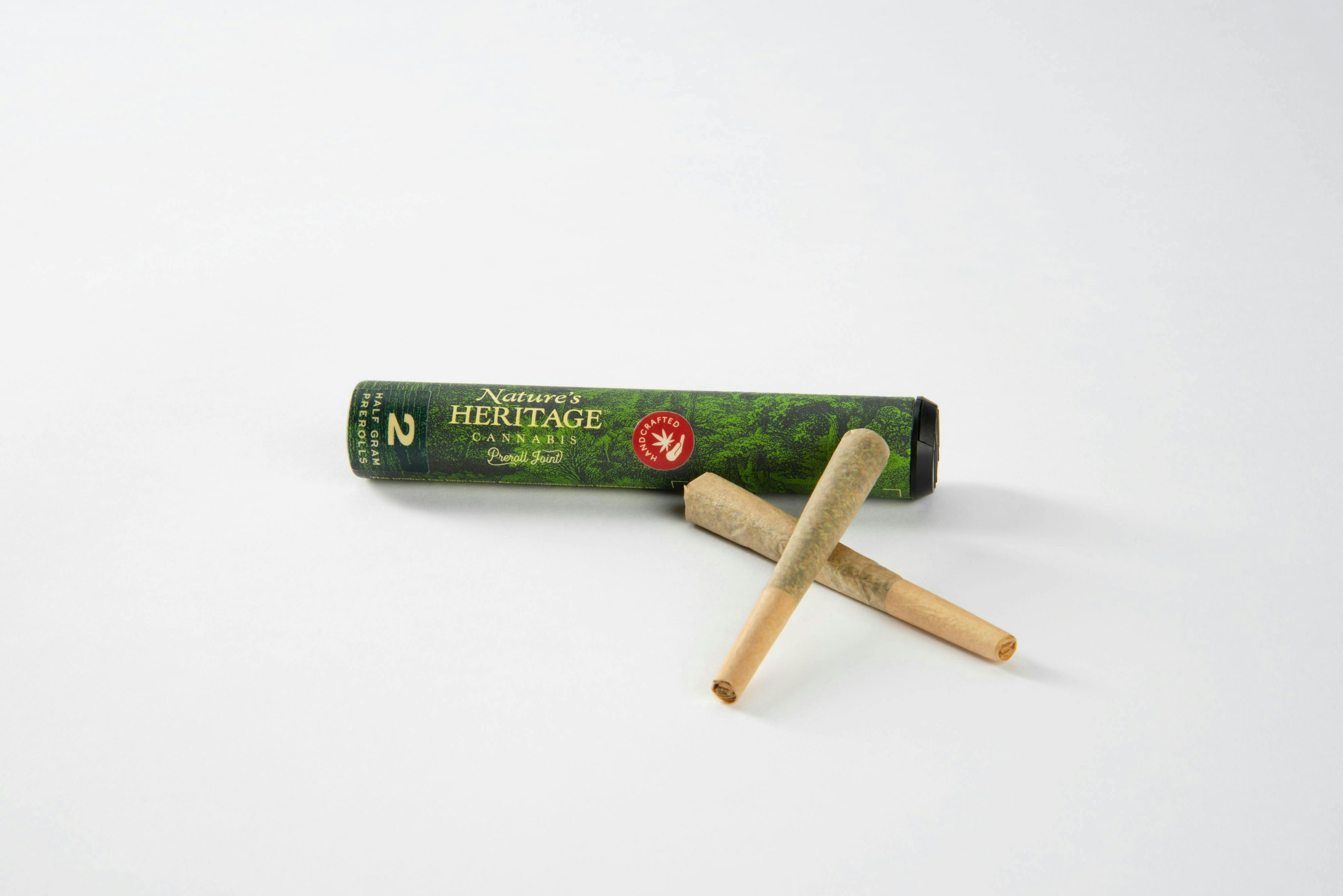 Governmint Oasis | Infused Joints | 0.5g | 2pk by Nature's Heritage