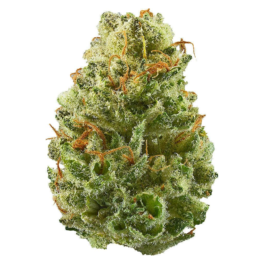 Strawberry Cough | Big Buds | 7g