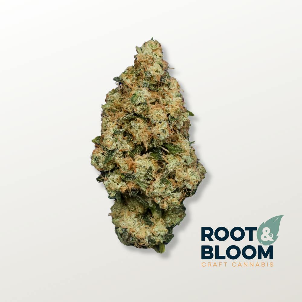 Ghost Dawg | Big Buds | 3.5g