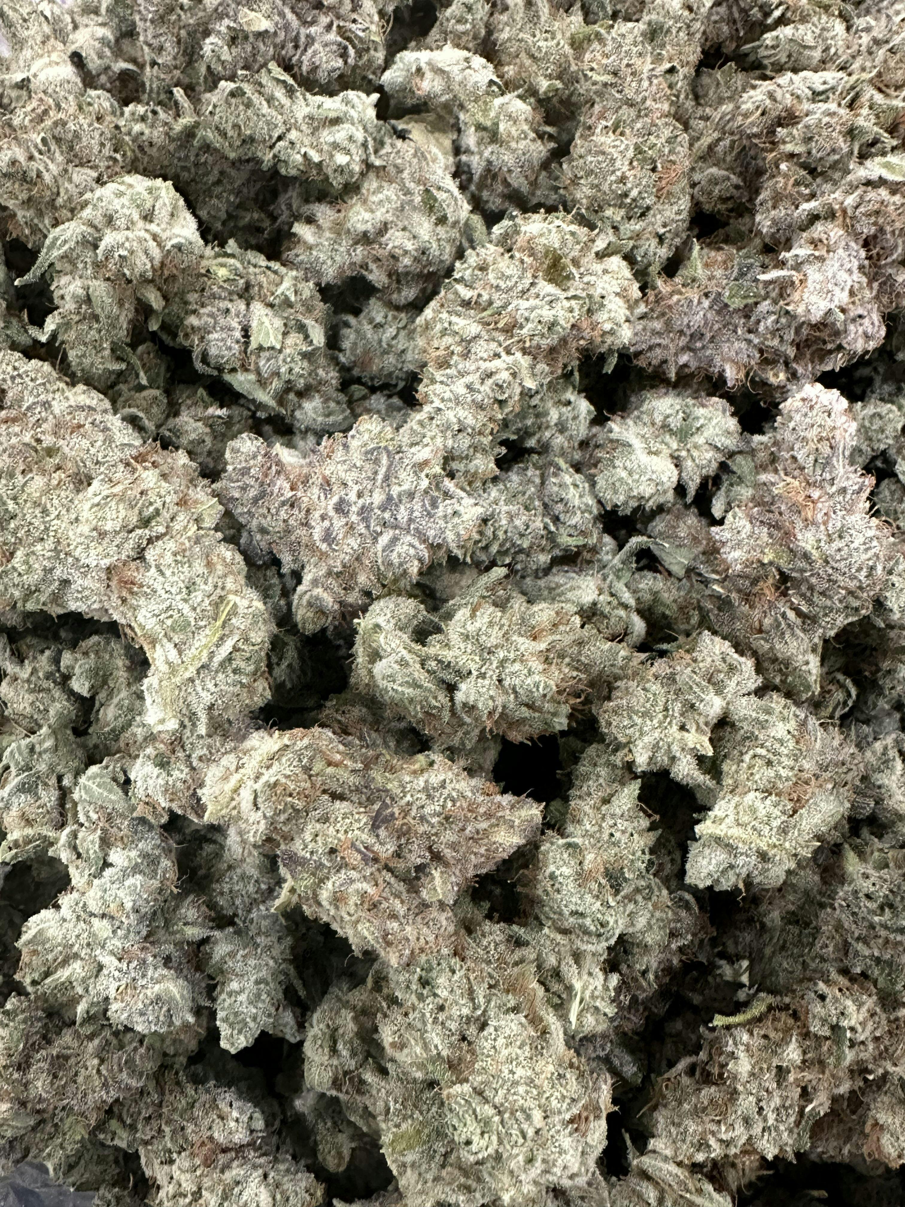 big 1 | Big Buds | 1g by Scorpion Grass